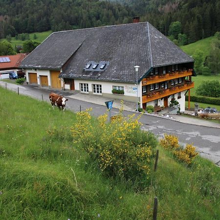 Ferienwohnung Talblick Todtmoos Zewnętrze zdjęcie