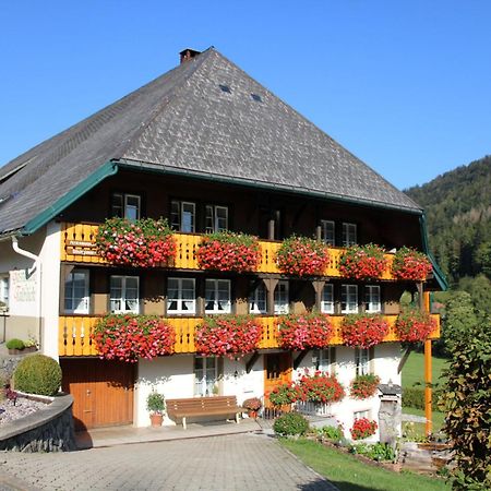 Ferienwohnung Talblick Todtmoos Zewnętrze zdjęcie