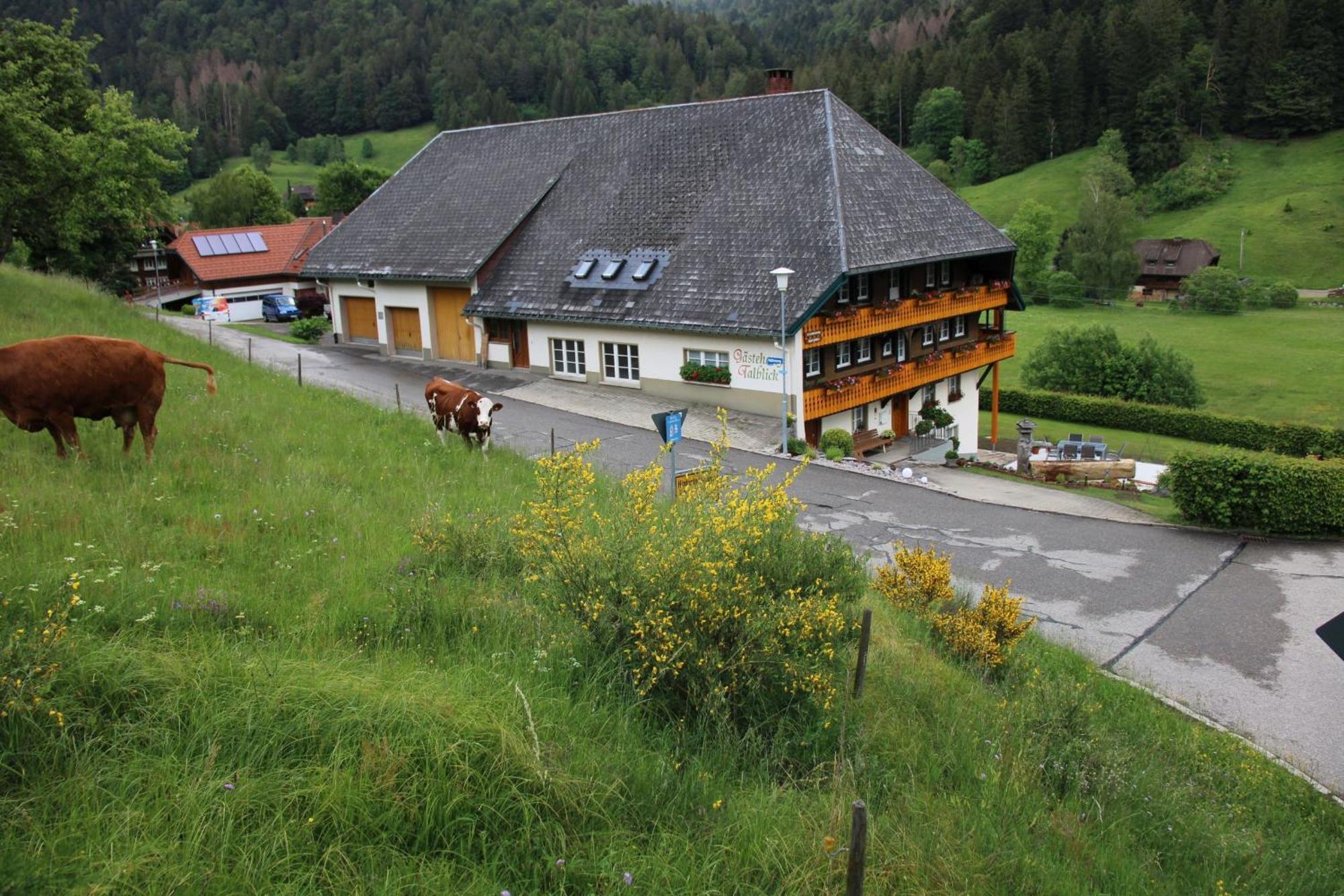 Ferienwohnung Talblick Todtmoos Zewnętrze zdjęcie